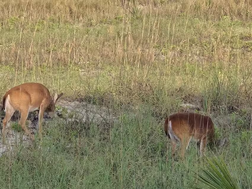 1315 Pelican Watch Villas