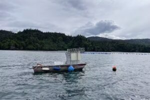 49North Alaskan Adventures & Water Taxi