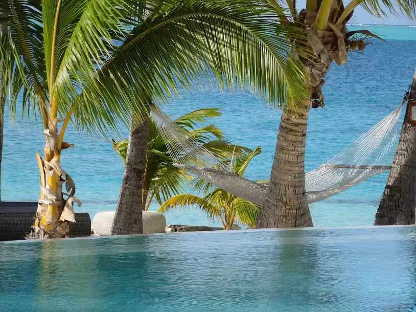 5 O&rsquo;Clock Somewhere Travel and Cruise, LLC