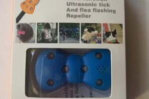 55+ Concierge Services LLC