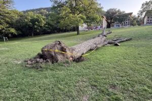 7 Bluff Cabins + RV Park