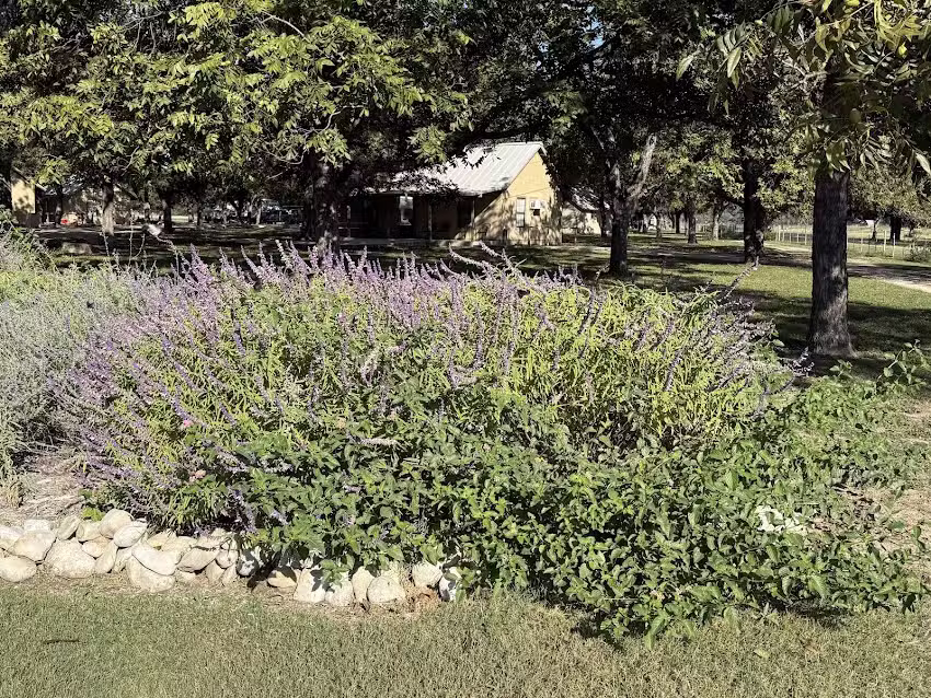 7 Bluff Cabins + RV Park