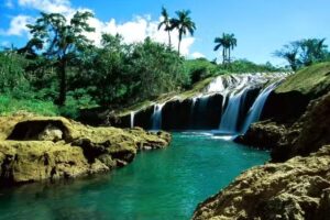 A & T Greenpalmera Travel