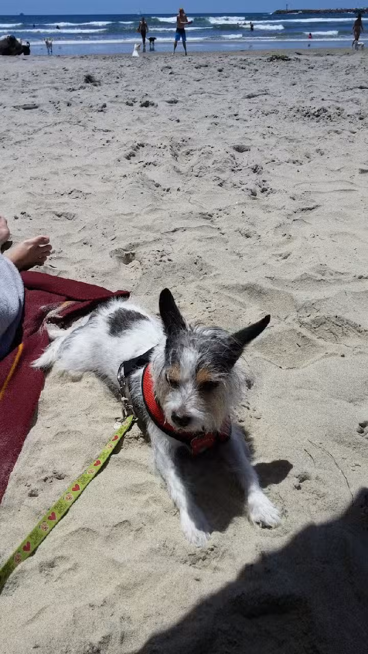 AAA Beach Bungalow Vacation Home