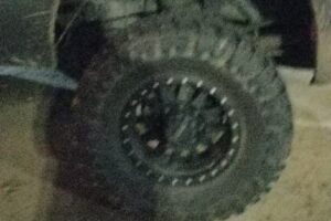 AAA Los Angeles Insurance and Member Services