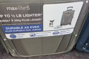 AAA Travel Agency District Office