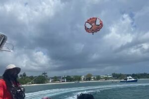 AAA Travel Agent -Angela Levesque