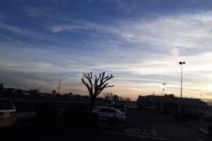 AAA Victorville Insurance and Member Services