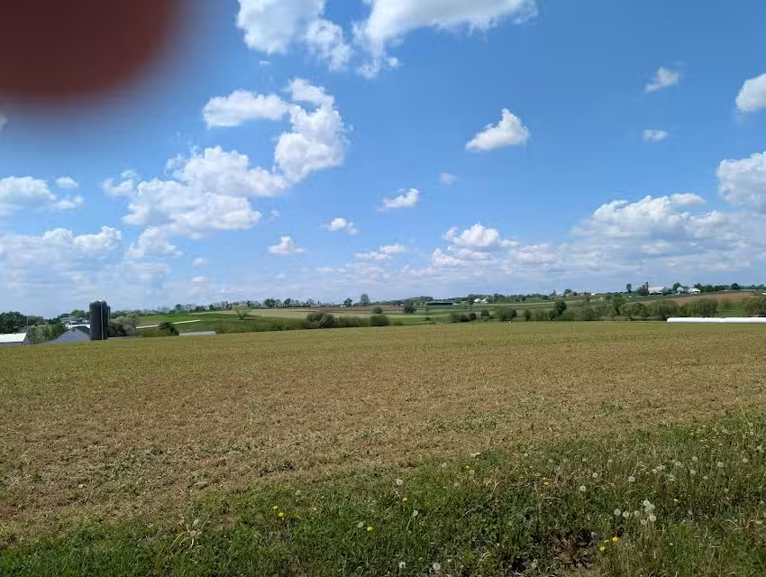 Abe&rsquo;s Buggy Rides