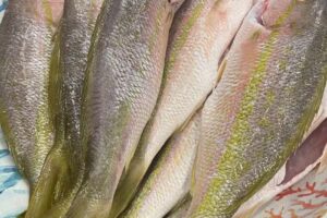 Above & Below Fishing Adventures – Key West & Lower Keys Fishing Charter