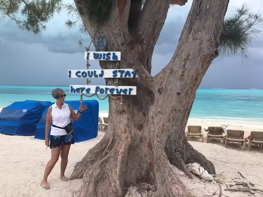 Above the Crowds Travel