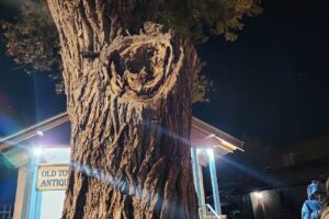 AbqTours – Albuquerque’s favorite GHOST Tour – Since 2001!