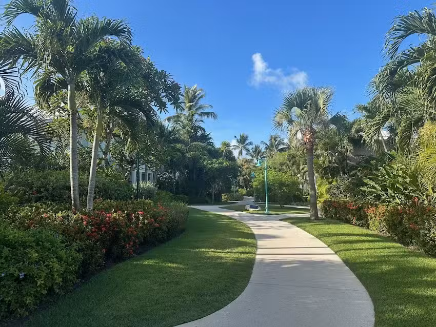 Absolute Vacations Inc.