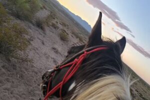 Acacia Riding Adventures