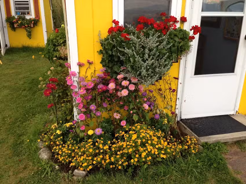 Acadia Air Tours Sales Office