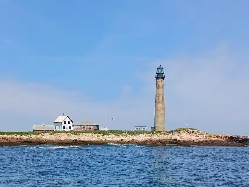 Acadia Puffin Cruise