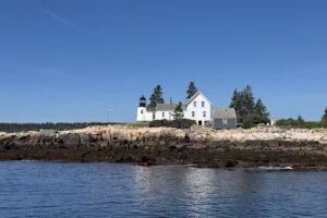 Acadian Boat Tours