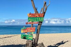 Accommodating Travel LLC