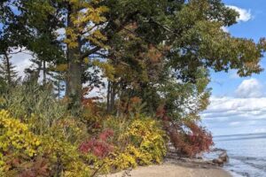 Acorn Family Retreats