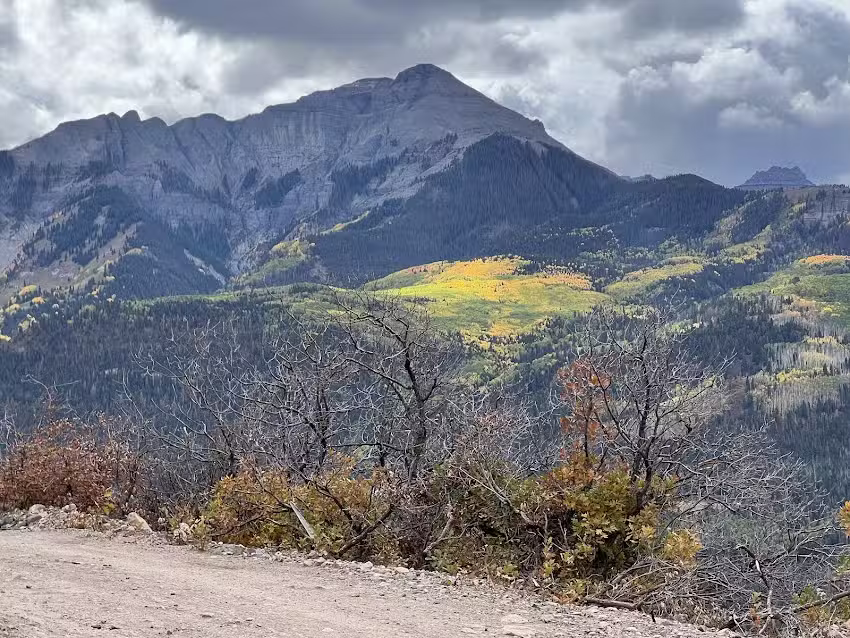 Action Adventures Trail Rides