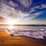 Adam Travel Services