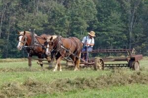 Adams County Travel & Visitors Bureau