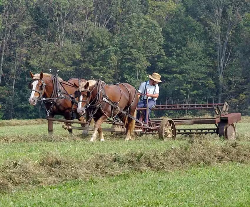 Adams County Travel & Visitors Bureau