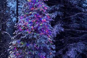 Adirondack Serenity Stays