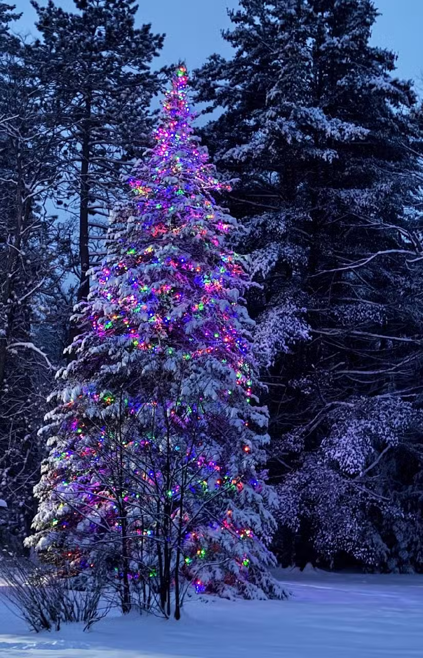 Adirondack Serenity Stays