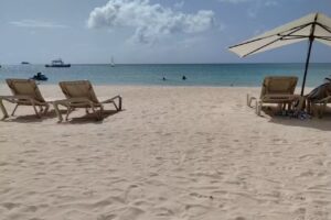 Adjust To The Good Life Travel, LLC