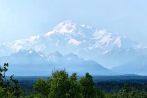 Adler’s Rochester Travel