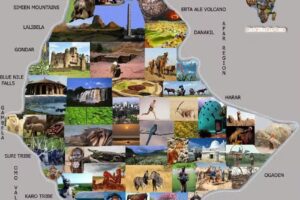 Admas Travel & Tours