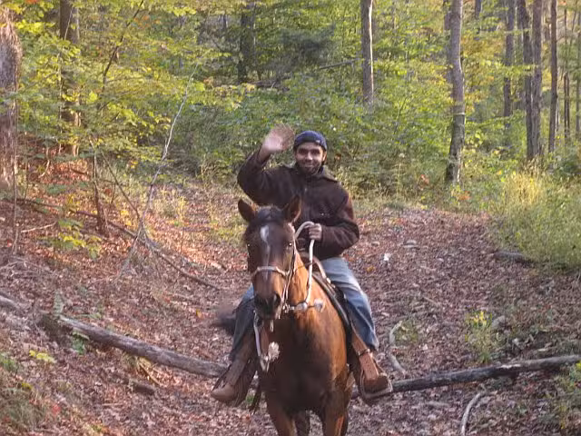 Adult Horse Riding in NYS