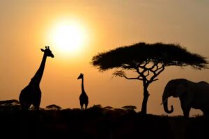 Adventure Associates of WA