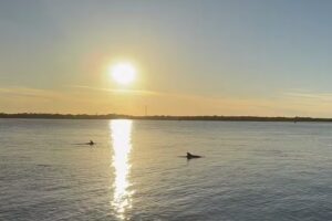 Adventure Boat Tours