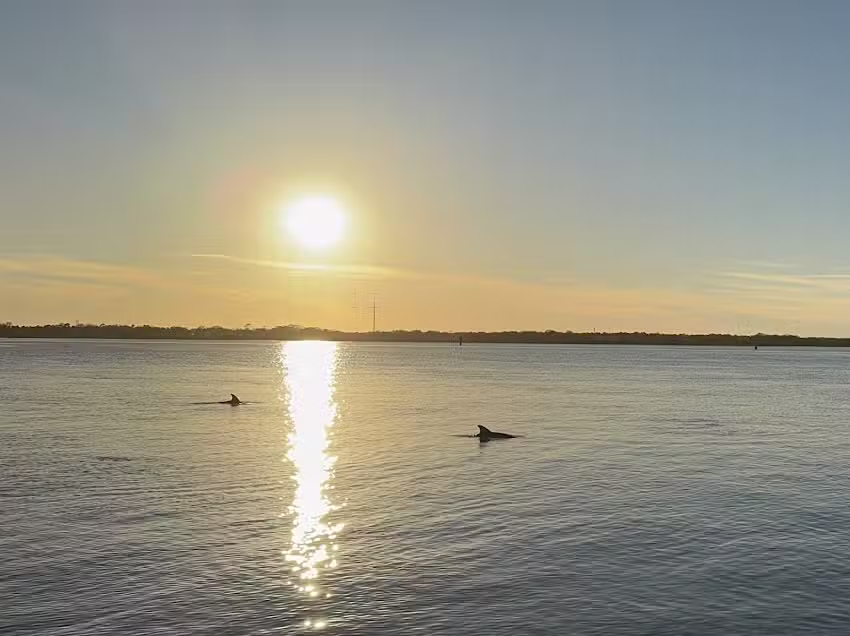 Adventure Boat Tours