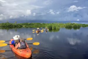 Adventure Paddle Tours