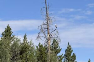 Adventure Paddle Tours