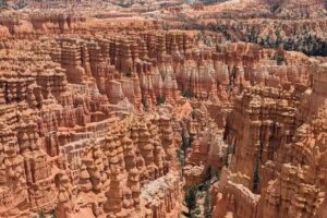 Adventure Photo Tours