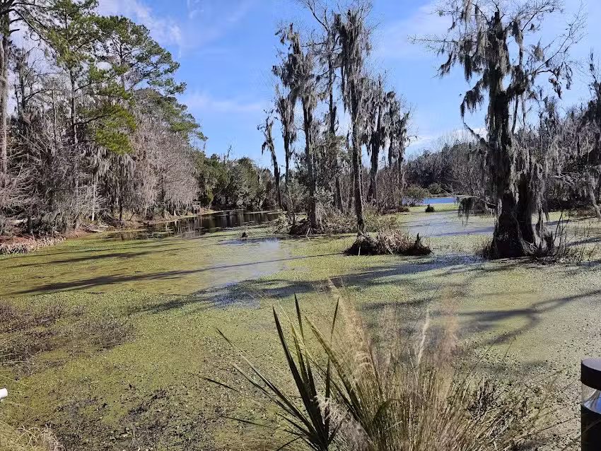 Adventure Sightseeing