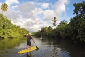 Adventure Tours Hawaii