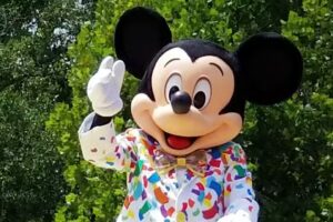 Adventures by Educators