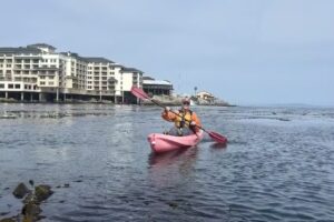 Adventures By The Sea