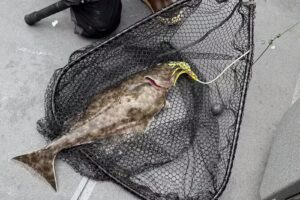 Adventures in Alaska