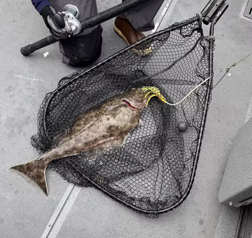 Adventures in Alaska