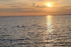 Adventures in Paradise