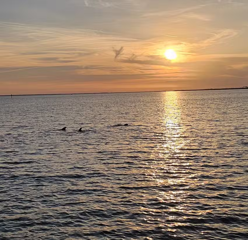 Adventures in Paradise