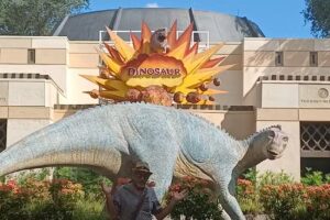 Adventures Travel Agency