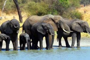 Adventures Within Reach