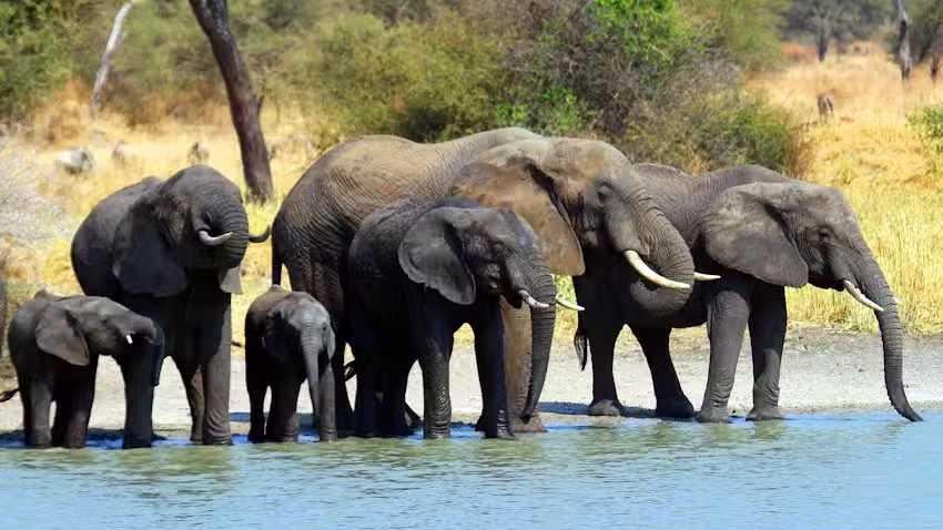 Adventures Within Reach